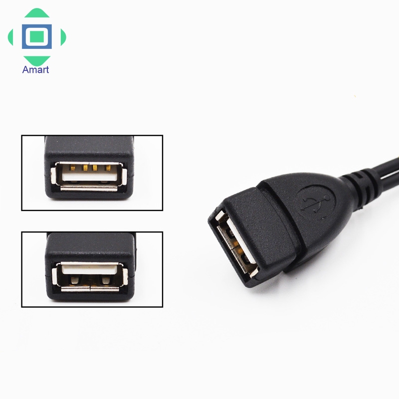 Cáp chuyển đổi từ USB type A female sang 2 cổng Micro USB male và female