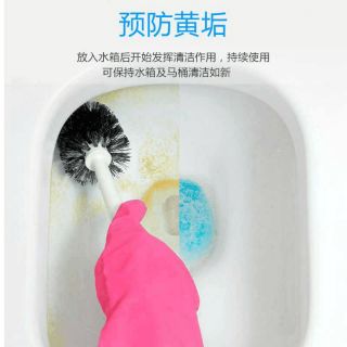 Gấu tẩy bồn cầu