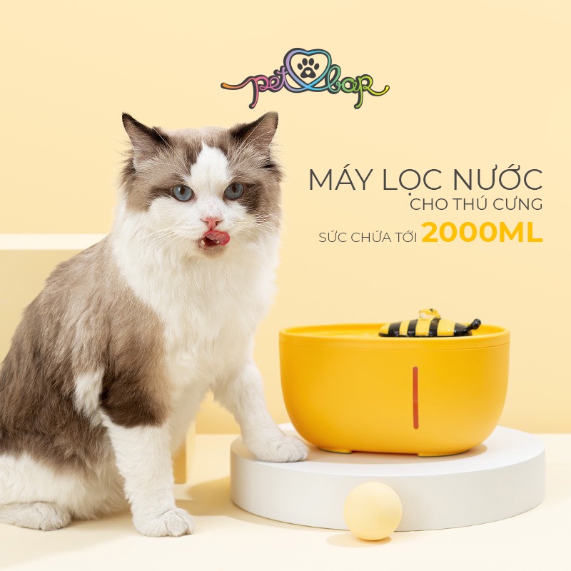 Máy lọc nước cho thú cưng cao cấp Aiwo dung tích 2000ml hình ong vàng dễ thương