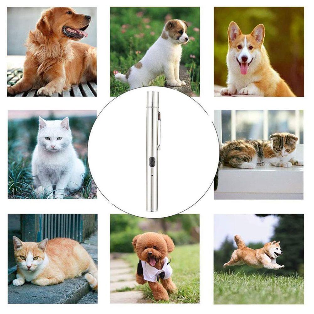 Đèn Pin Chiếu Tia Cực Tím 365 UV Chống Nước Chuyên Nghiệp Cho Mèo