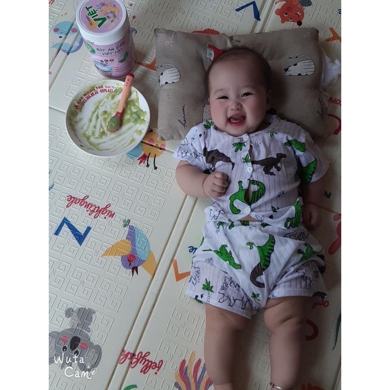 Bột Ăn Dặm Việt Lộc 🚛 FREE SHIP 🚛  2 loại