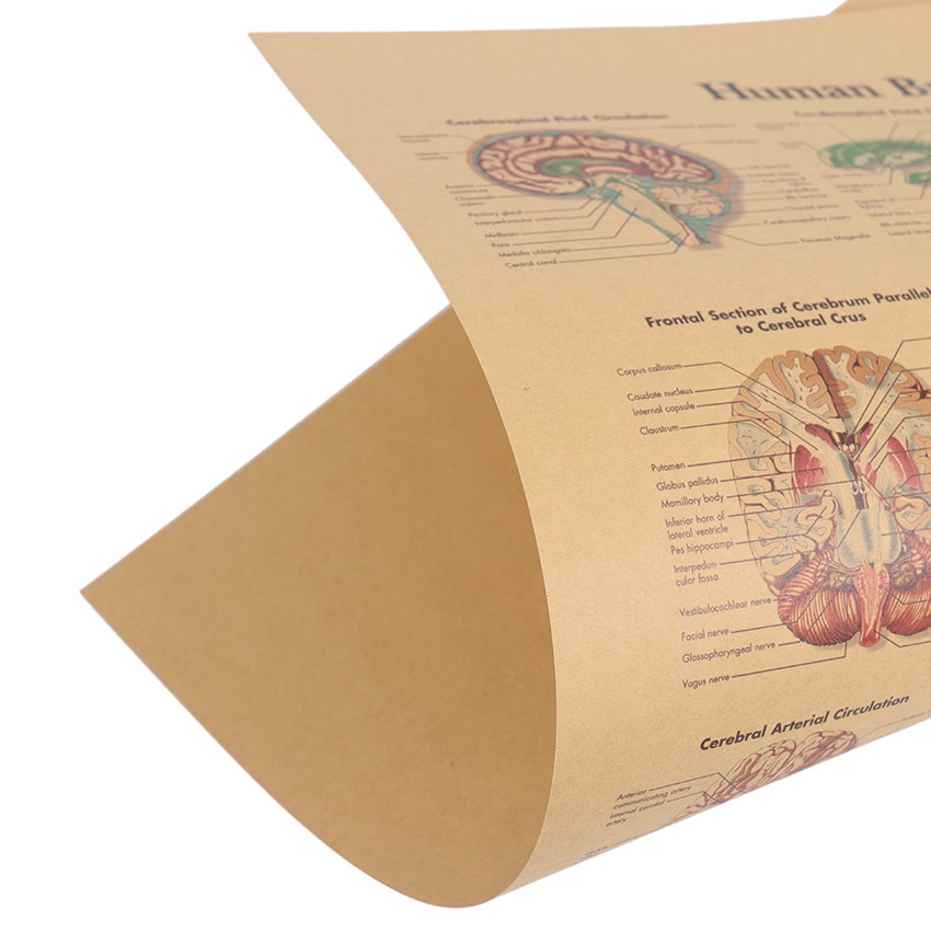 Poster Giấy kraft Dán Tường Trang Trí Quán Cà Phê Phong Cách Vintage