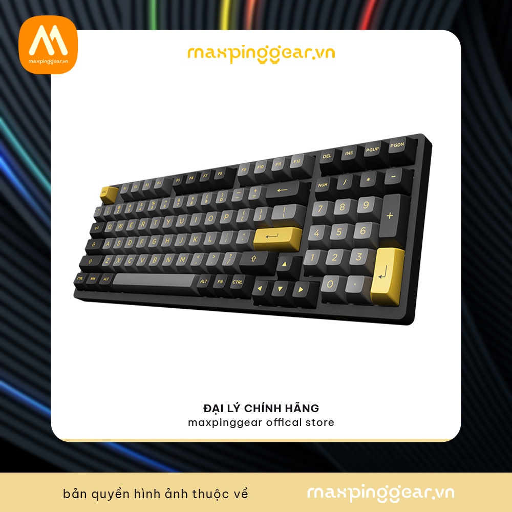 Bàn phím cơ AKKO 3098B Multi-modes Black Gold (Bluetooth 5.0 / Wireless 2.4Ghz / Hotswap / Foam tiêu âm / Foam đáy / AKK
