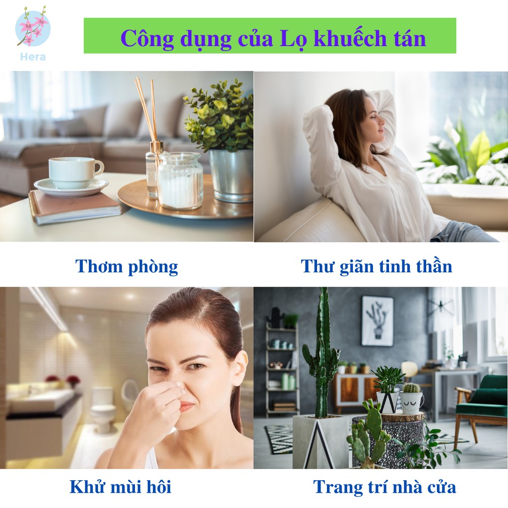 Lọ tinh dầu thơm khử mùi diệt khuẩn bồn cầu, nhà vệ sinh tủ giày dép hương thơm thiên nhiên dễ chịu KT40