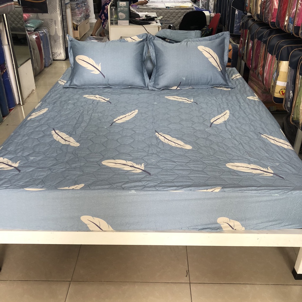 Bộ ga chun 150x190 có chần cotton Sông Hồng