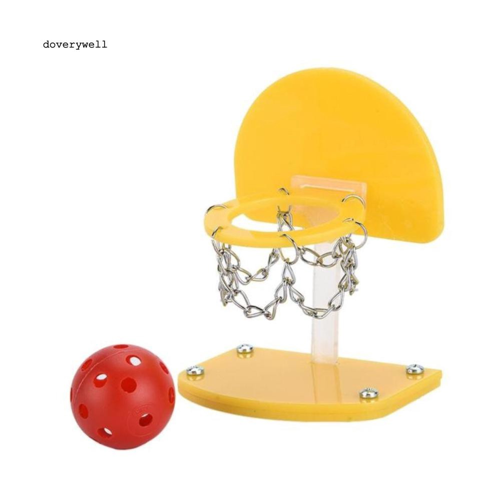 Đồ chơi bóng rổ mini cho vẹt