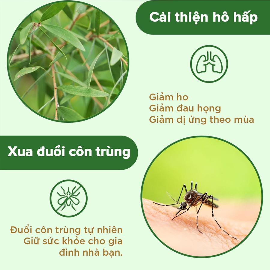 Tinh Dầu Tràm Trà Viên Minh dung tích 10ml - 50ml Tặng 1 xịt mũi 69k hoặc muối tắm thảo dược 69k