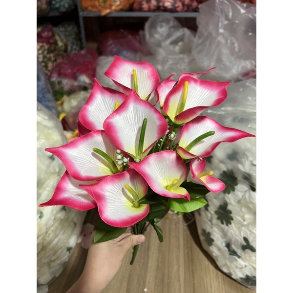 hoa môn - hoa rum trang trí hoa để bàn phòng họp - bàn giáo viên