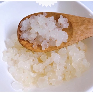 Nấm Nước Kefir Thuần Dừa - Water Kefir Lên Men Nước Dừa