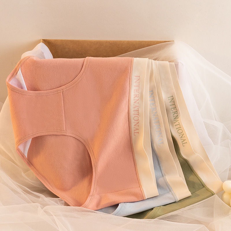 Quần lót nữ cotton lì cạp su chữ kháng khuẩn cao cấp 8858