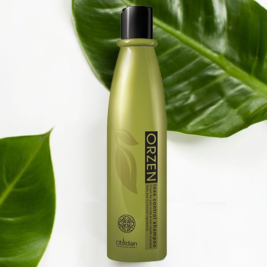 Dầu gội kích thích mọc tóc nhanh Orzen Loss Control Shampoo Hàn Quốc chính hãng 320ml