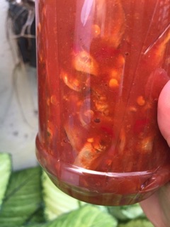 Hủ 500gram mắm cá giò (mắm rò) Đà Nẵng