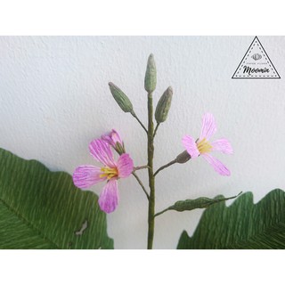 Cây củ cải đỏ bằng giấy nhún