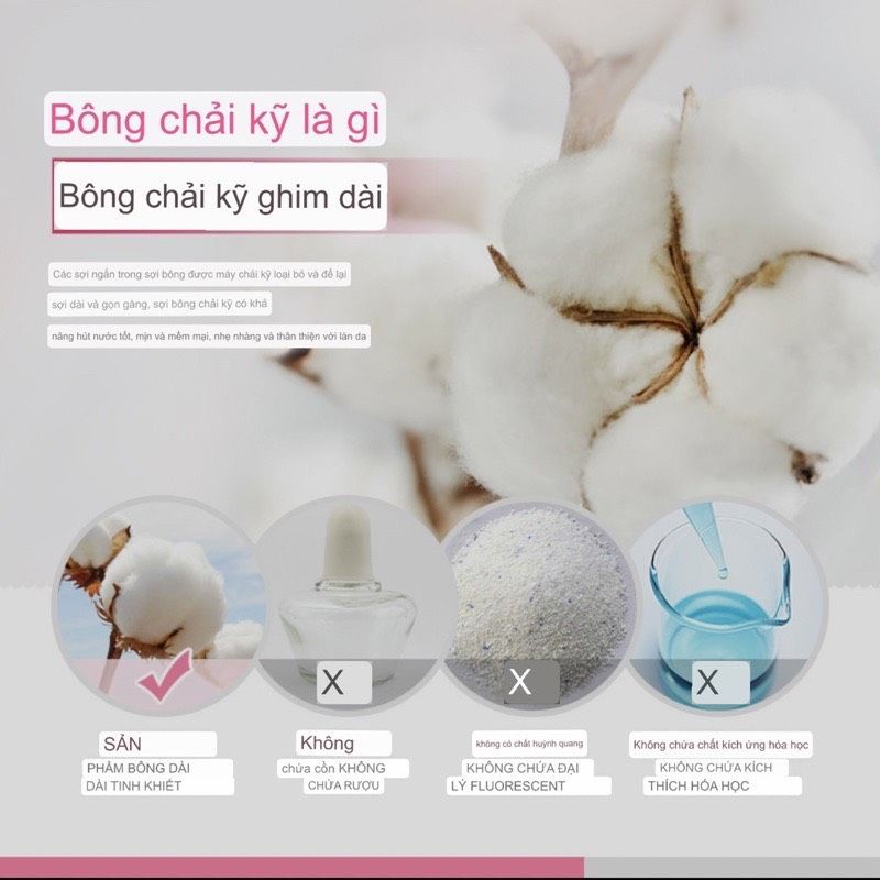 Bông Tẩy Trang BIOAQUA Hộp 200 Miếng Hoàn Toàn Từ Thiên Nhiên - Ăn Vặt 492