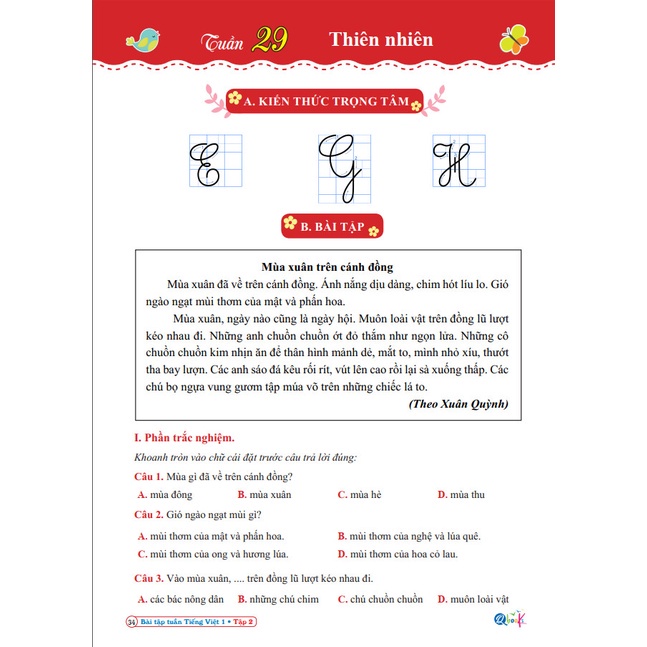 Sách - Combo Bài Tập Tuần & Đề Kiểm Tra Toán và Tiếng Việt Lớp 1 - Cánh Diều - Học Kì 2