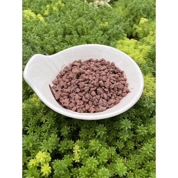 Đá nham thạch đỏ SONDA GARDEN (1kg) cho sen đá, xương rồng