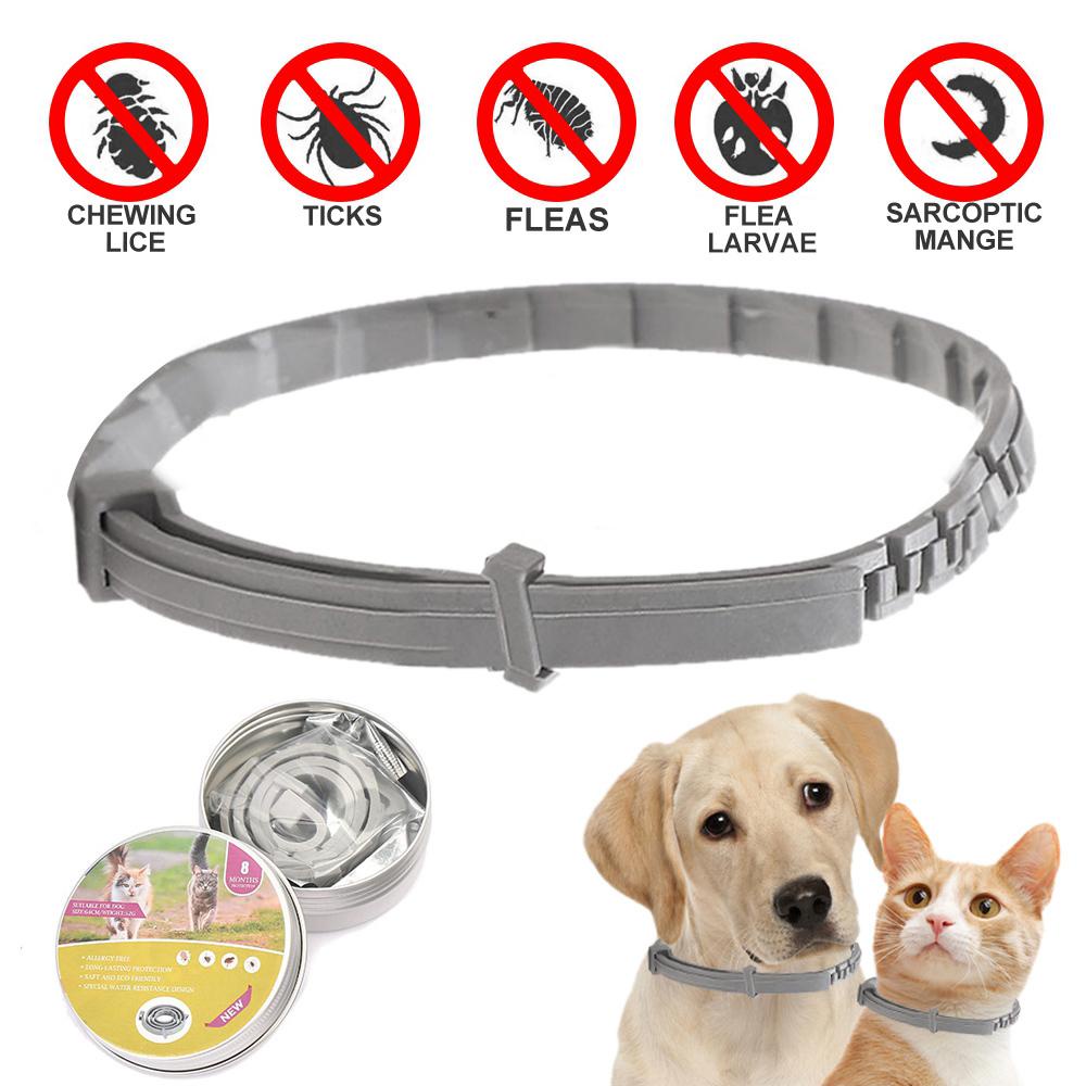 Vòng Cổ Chống Bọ Chét Chống Nước Cho Thú Cưng