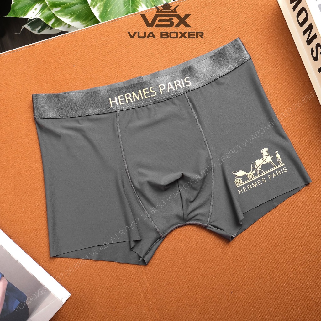 Quần Lót Nam Thun Lạnh Sịp Nam Vải Mát Mềm Mịn Thoáng Khí HERMEC-TL01