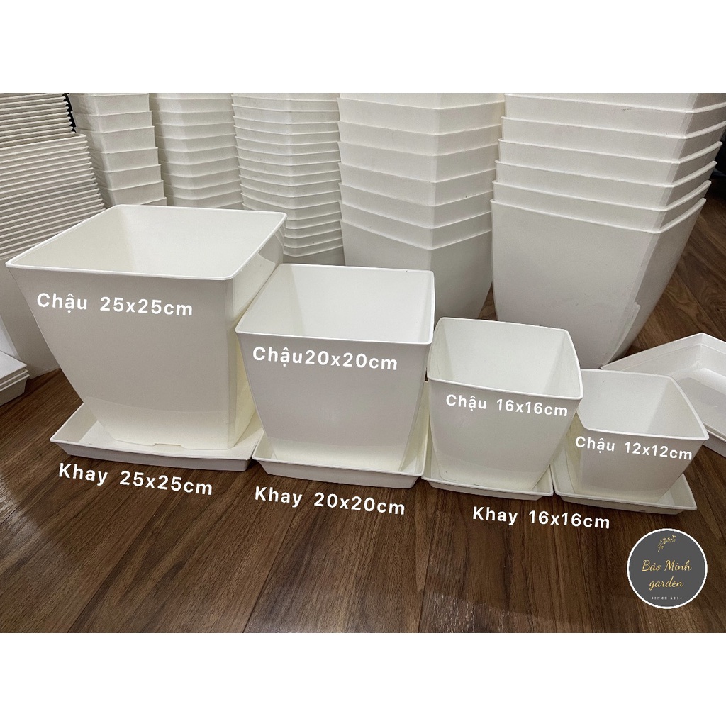 Chậu nhựa vuông 12 x 12cm trồng hoa cây cảnh văn phòng hàng cao cấp của CDT plastis