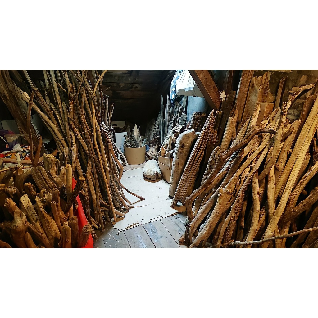 Sale Bùng Nổ Nhánh Giá Chỉ 2k- Bó Củi Phi 1cm ~ 2cm Trang Trí Sáng Tạo  20~60 cm
