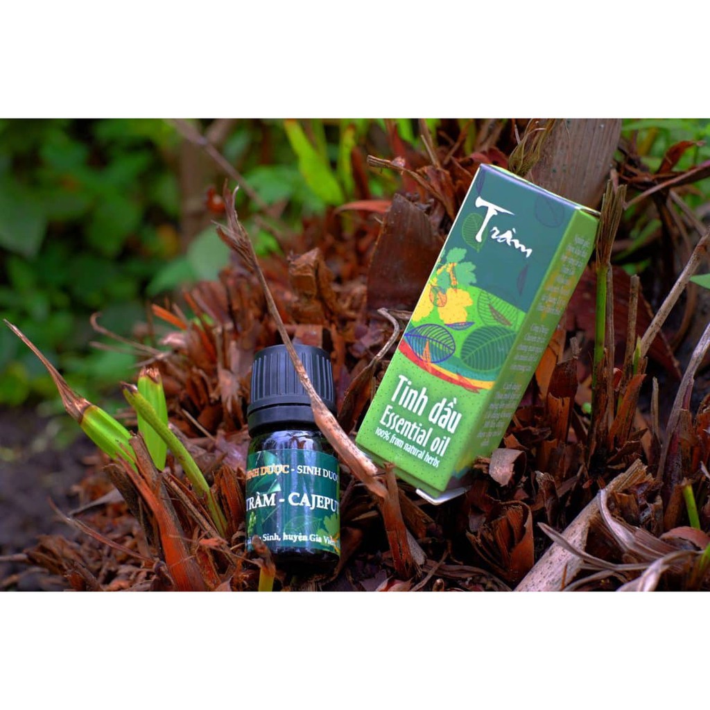 Tinh Dầu Tràm Nguyên Chất 100% 5ml Hợp Tác Xã Sinh Dược Ninh Bình