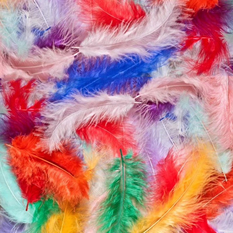 Bộ 20 Lông Vũ Nhiều Màu Dùng Làm Trang Sức / Trang Trí Nhà Cửa / Tiệc Cưới diy