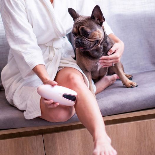 Máy Triệt Lông Tại Nhà IPL LUX, Trẻ Hoá Da, Tăng Sinh Collagen Cho Da Mịn Màng | BigBuy360 - bigbuy360.vn