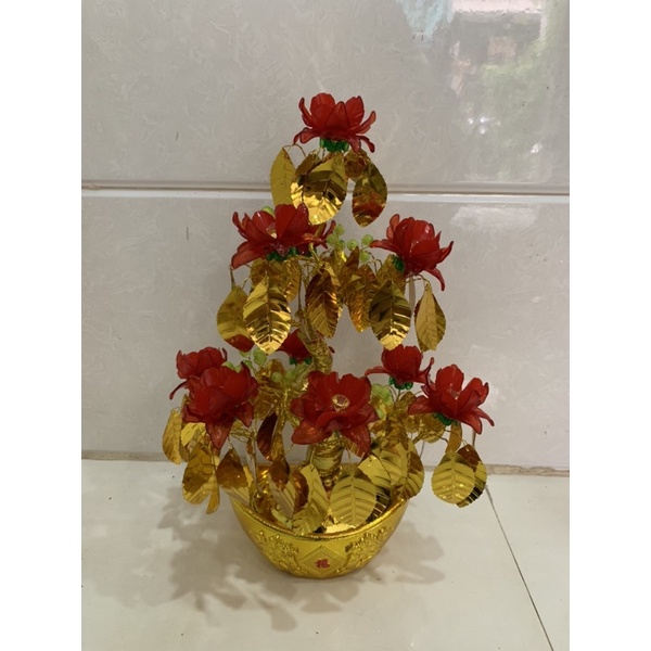 Lá Ngọc Cành Vàng cao 35cm