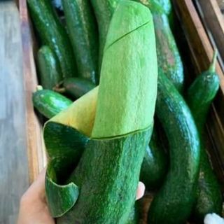 Giống cây bơ 034