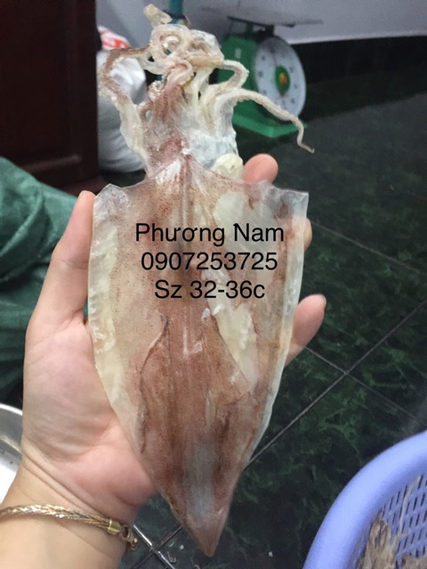 Khô mực ghe nhà loại lớn có các size