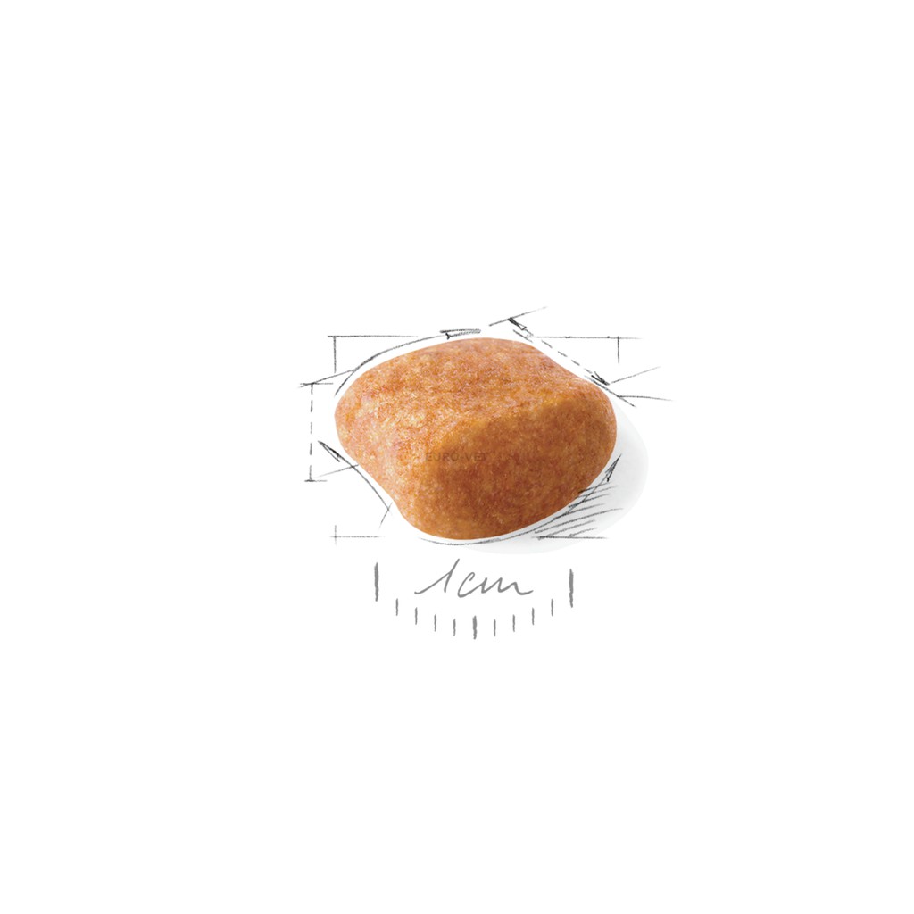 Thức ăn cho chó Poodle trưởng thành Royal canin Poodle adult 1.5kg (giao hàng siêu nhanh)