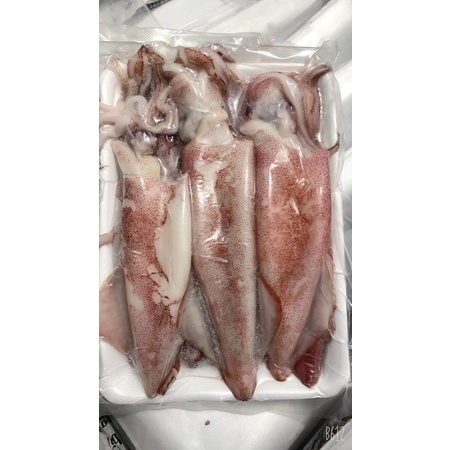 Mực ống tươi 1kg ngon ngọt ❤️ GIÒN NGON❤️ 1kg xào , hấp , thả lẩu