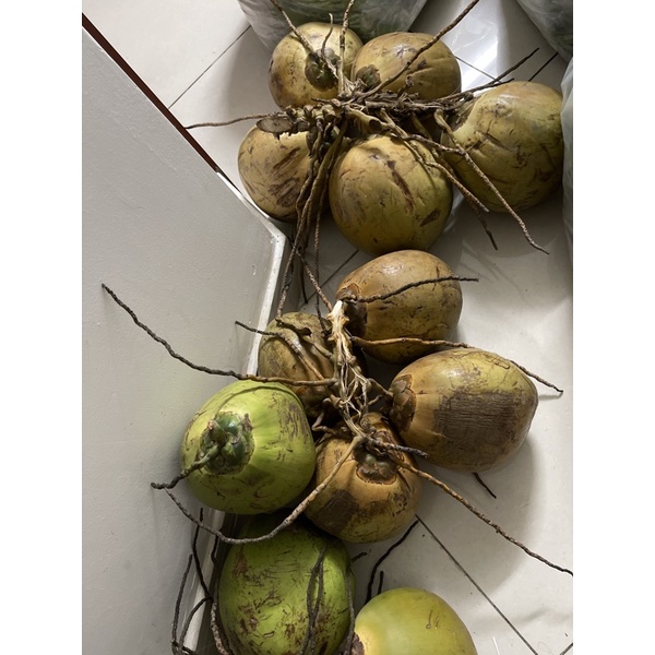 Dừa tươi nguyên trái