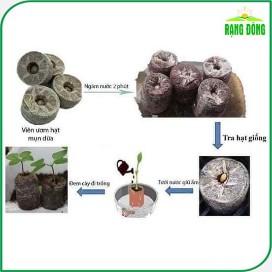 Viên nén xơ dừa ươm Hạt giống (200 viên) viên nén sơ dừa tiện dụng, tiết kiệm thời gian, sạch 100% - Hạt giống Rạng Đông