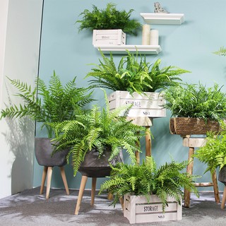 Cành Dương xỉ giả - Cành hoa giả Decor trang trí