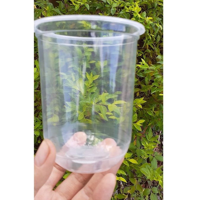 Túi 50 ly nhựa đáy bầu Q360ml / Q500ml / Q700ml nhựa PP - Cốc nhựa trắng trơn