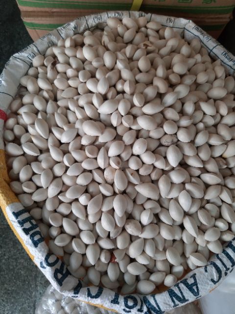 500gram -1Kg Bạch Quả Loại To Nấu Chè Chưng Yến