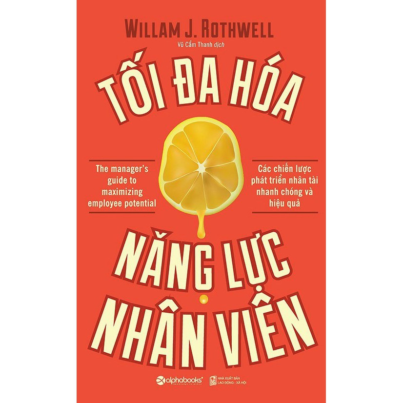 Sách - Tối Đa Hóa Năng Lực Nhân Viên (Tái Bản 2017)