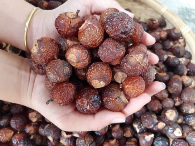 BỘT BỒ HÒN NGUYÊN CHẤT HƯƠNG SẢ, 500GR