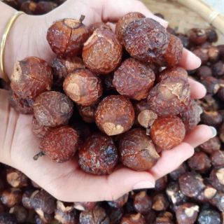 BỘT BỒ HÒN NGUYÊN CHẤT, 500GR