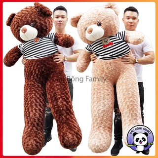 (Ảnh Thật 100%) Gấu Bông Teddy 1m8 khổ vải cao 1m6 Siêu Dễ Thương
