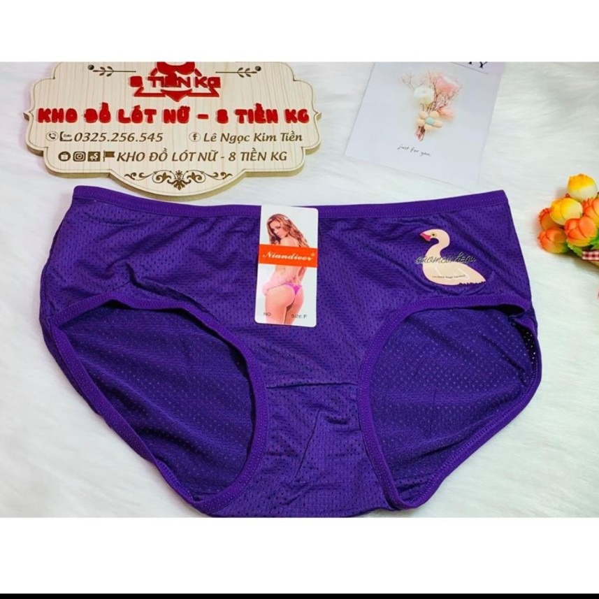 10 CHIẾC QUẦN LÓT NỮ THÔNG HƠI CAO CẤP - DỄ CHỊU THOẢI MÁI CHO CHỊ EM | BigBuy360 - bigbuy360.vn