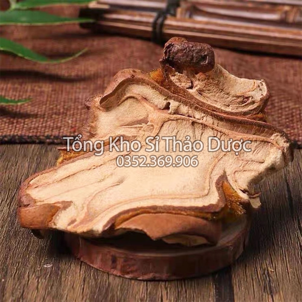 Cẩu tích chưa chế 1kg (Cây lông culi giảm tiểu đêm, mạnh gân cốt)