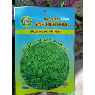 hạt giống củ quả rau sach