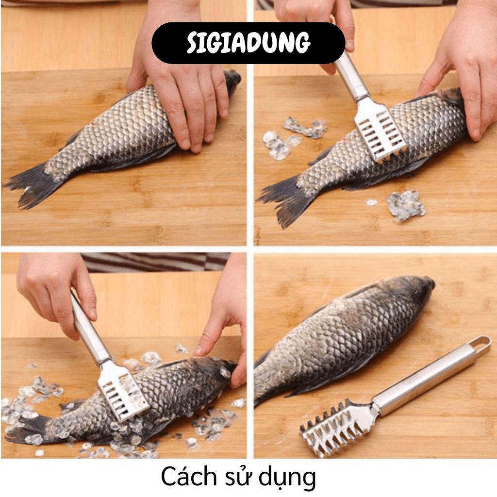 GIÁ SỈ Dụng cụ đánh vảy cá chắc chắn, an toàn 5350