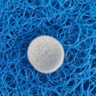 Bio chip 100g