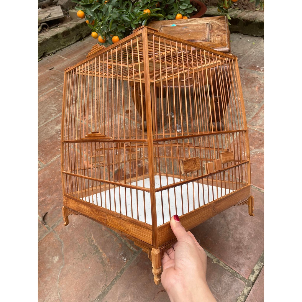 Khung lồng chim chào mào thái đấu, vuống đấu HM trúc già cật vàng đã qua xử lý màu KL02