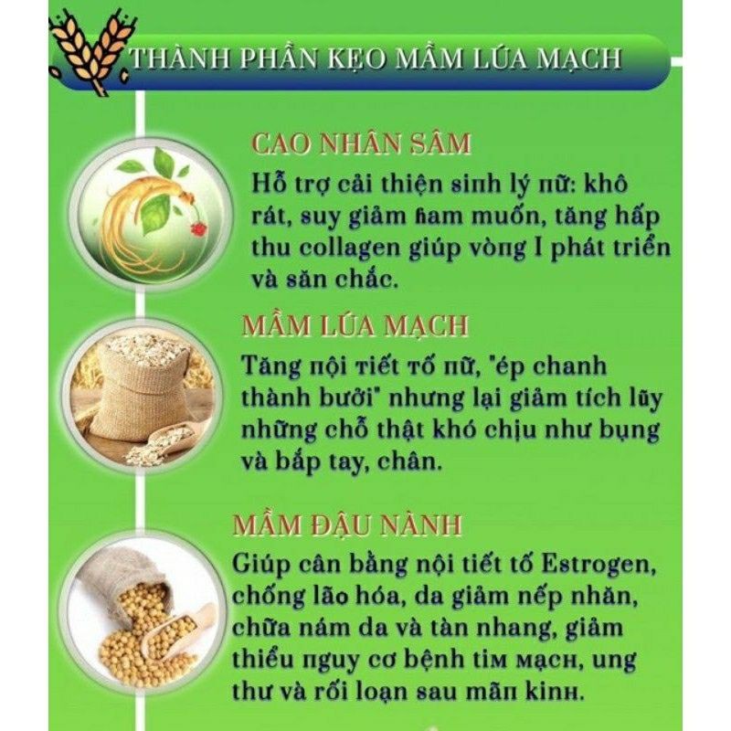 [Chính Hãng +Date mới] 5 Hộp Kẹo Mầm Lúa Mạch Gold Thảo Mộc 37 | BigBuy360 - bigbuy360.vn