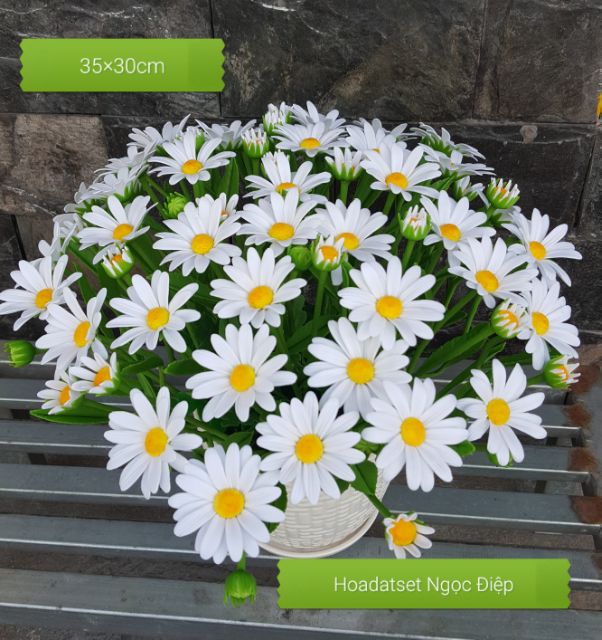 KHUÔN CẮT LÀM HOA CÚC HỌA MI