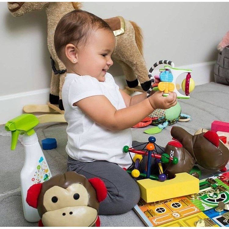 Chai xịt khuẩn đồ chơi và ghế ăn cho bé Babyganics Toy & Highchair Cleaner